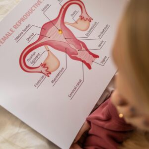 Premature Ovarian Insufficiency